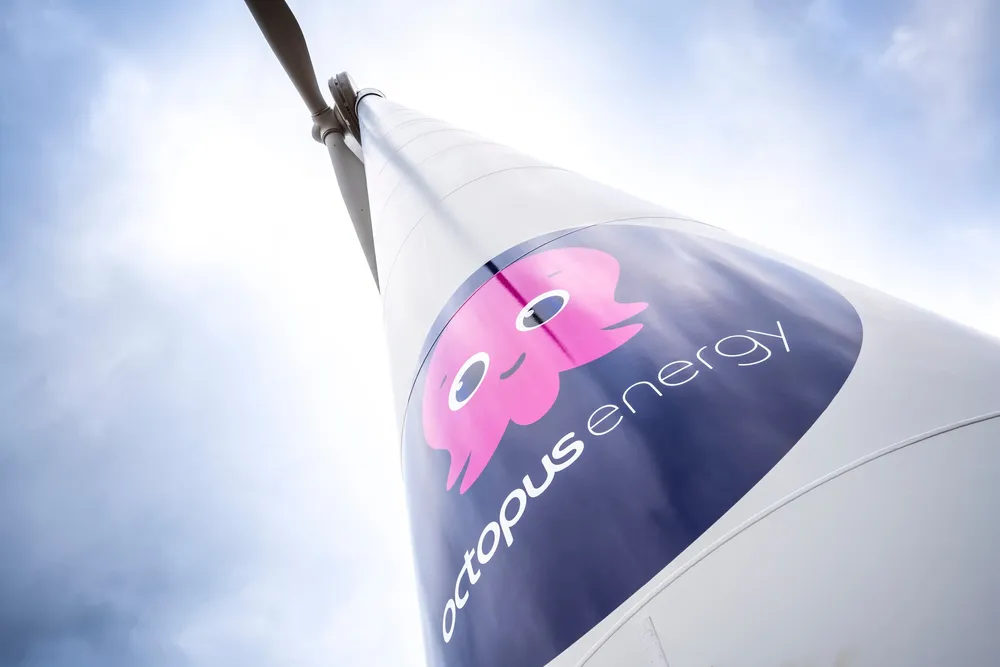 "It’s crazy to build wind farms where there’s no grid, then pay them to sit idle," said Octopus head of customer experience Pete Miller.