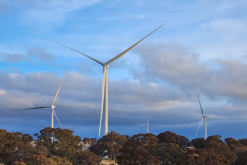 A photo of the Flyers Creek wind farm, which was commissioned in April this year.